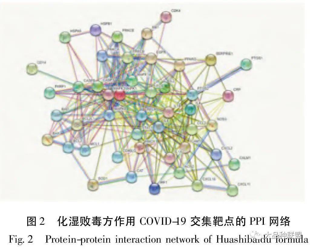 革兰染色的原理和关键是什么_革兰染色原理(3)