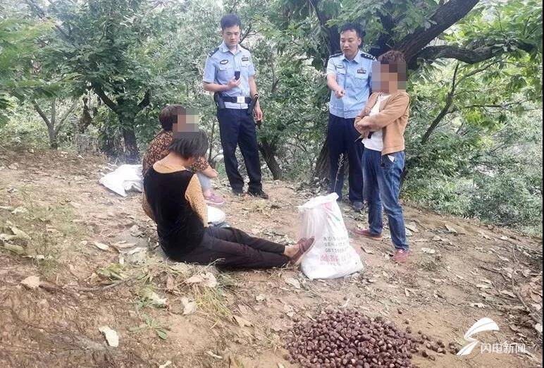 垛庄GDP_攻克垛庄据点图