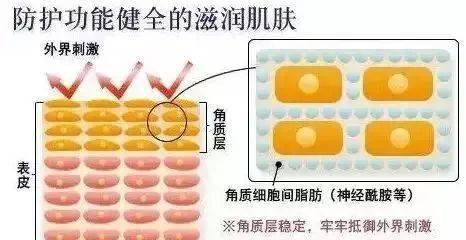 初恋|59元两瓶？！全智贤就靠这一步，打败90%的女星