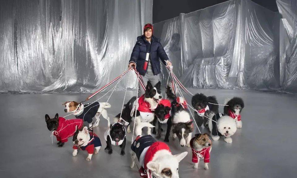 宠物|萌宠时尚｜毛孩子们时髦起来一点也不输主人！