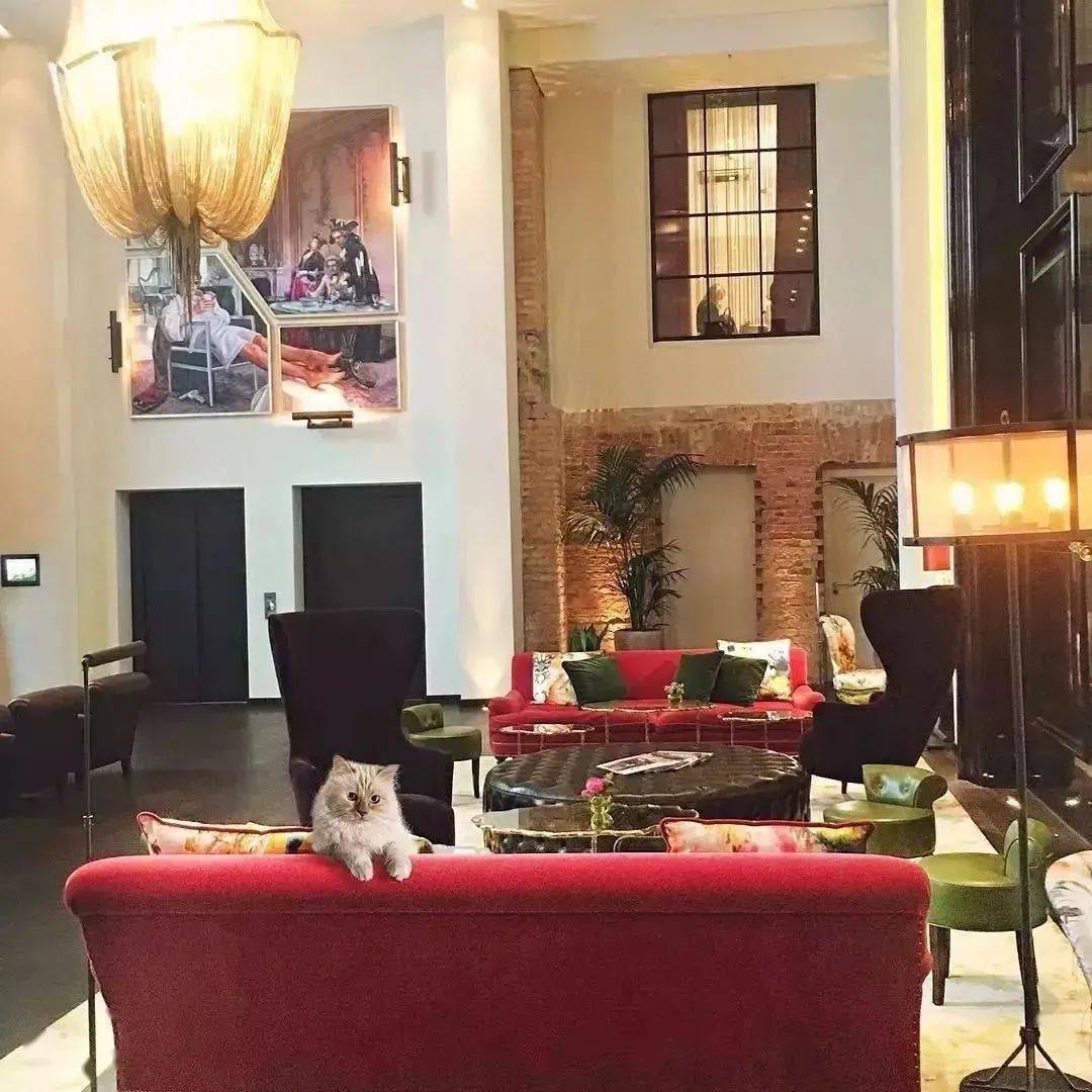 宠物|萌宠时尚｜毛孩子们时髦起来一点也不输主人！