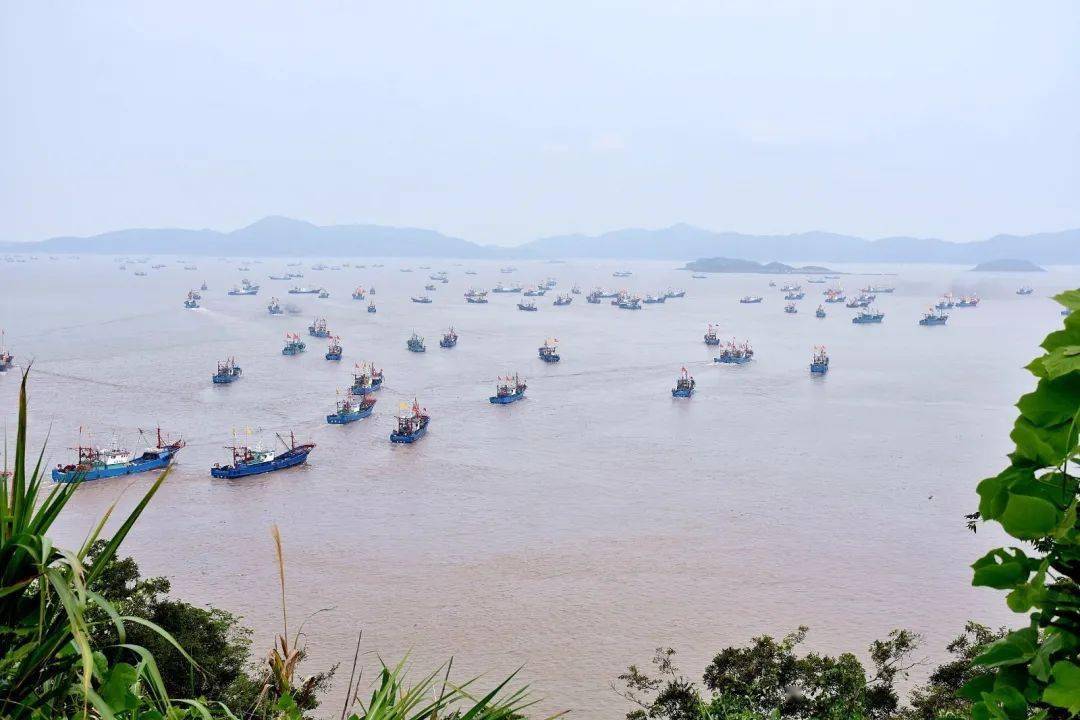 象山开渔节千舟竞发巨壮观视频海量图片快来欣赏