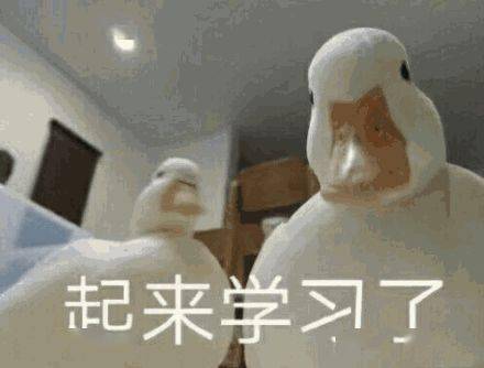 考试|四六级考试刚结束就冲上热搜！这道题把人“烤”“醉”了......