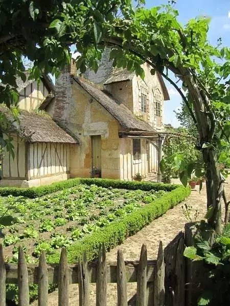 如何拥有自己的小院 5a61bd6244894eaa900eaae1498dabcf.jpeg