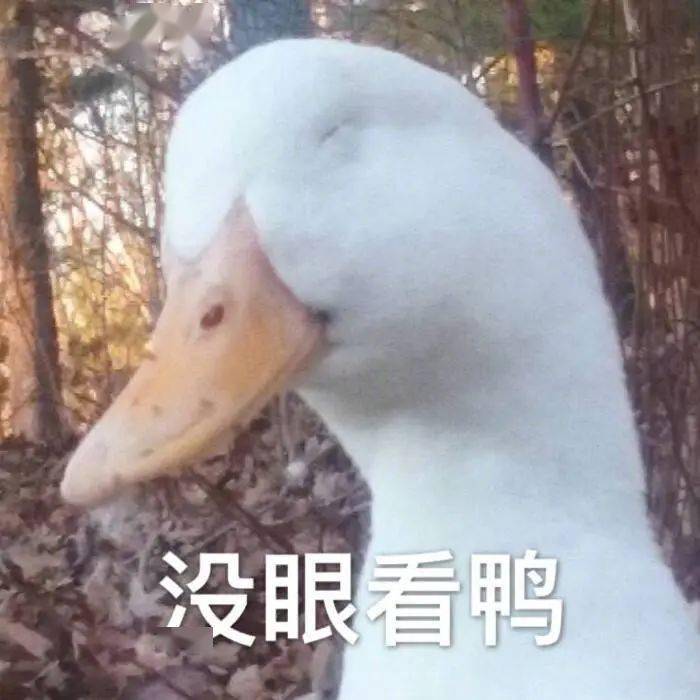 考试|四六级考试刚结束就冲上热搜！这道题把人“烤”“醉”了......