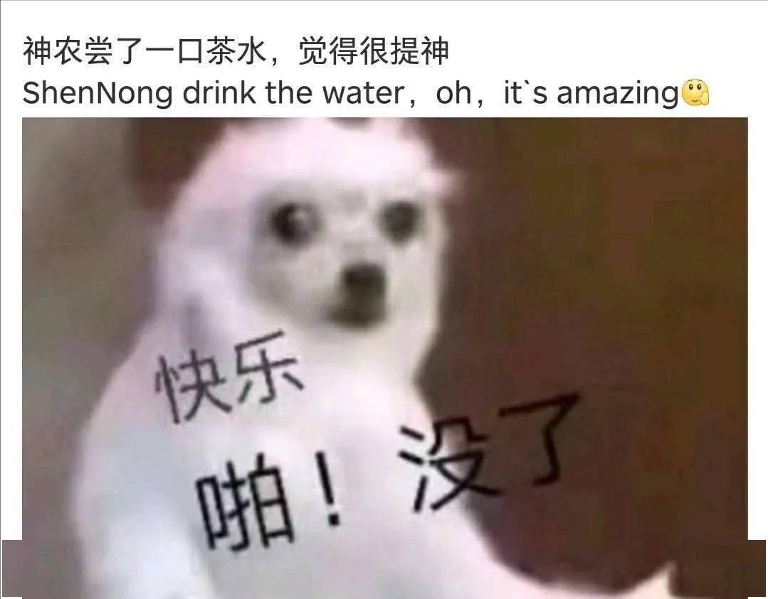 考试|四六级考试刚结束就冲上热搜！这道题把人“烤”“醉”了......