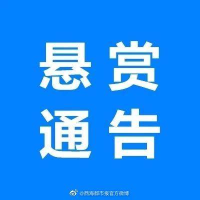 警方|肇事逃逸致人死亡！青海警方发布悬赏通告