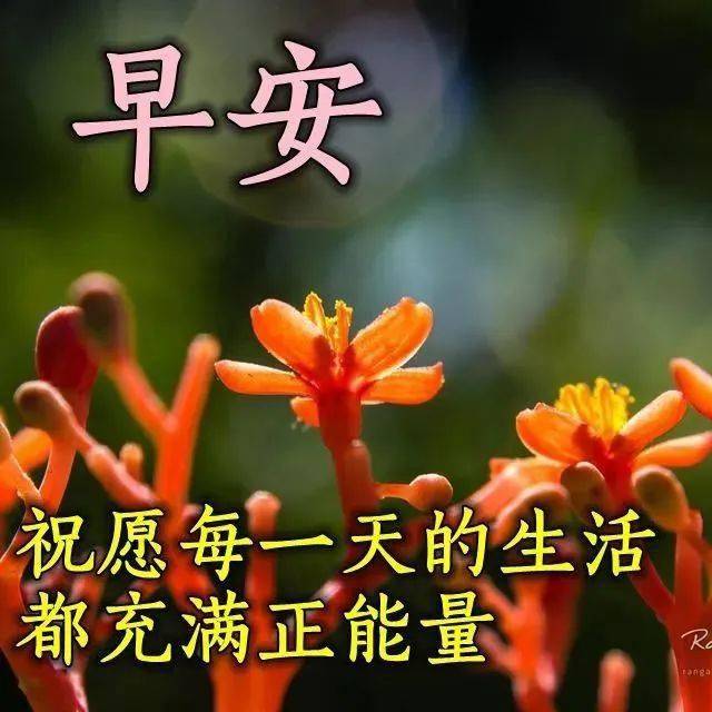 cf78b9adca3d4199bebbf0760010d5dd.jpeg