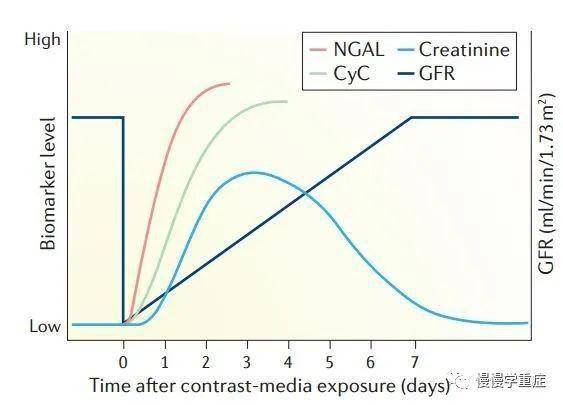 umol|简述：如何避免造影剂肾损伤