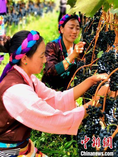 昌都市有多少人口_第七次全国人口普查登记西藏在行动