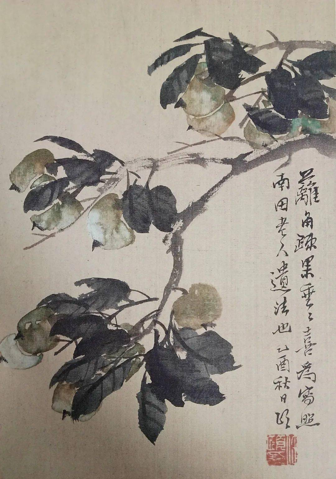 肖艳|第3期 任伯年花鸟研习班(学10幅只需100元)_范画