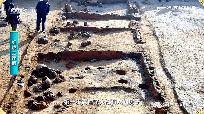 【视频】蒙城这个地方登上央视!_尉迟寺