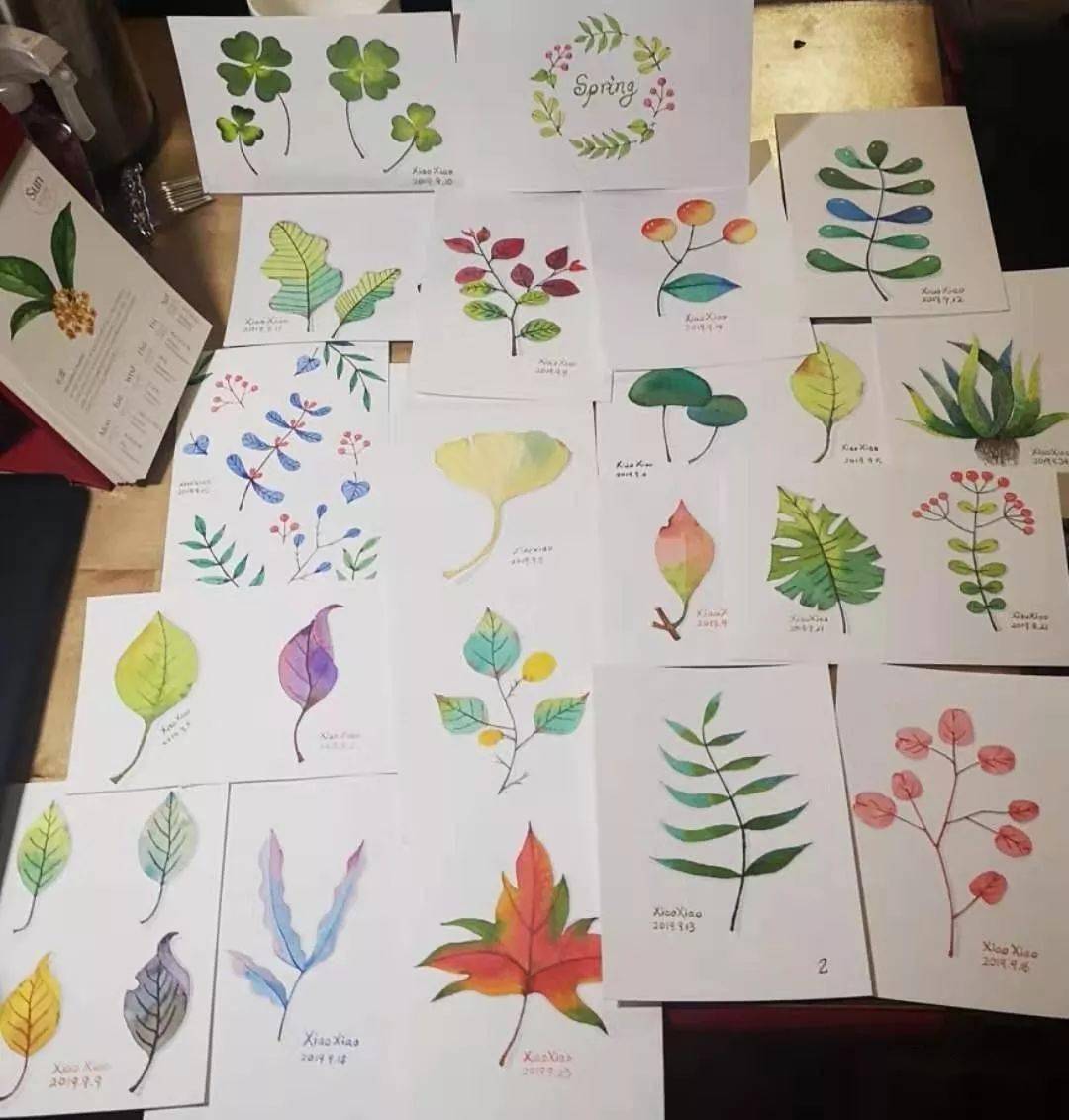 零基础学水彩:21节植物课,增长绘画技能,从一片叶子开始!