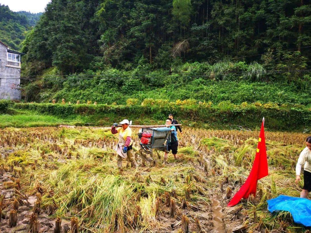 锦屏县偶里乡有多少人口_锦屏县偶里风景图片(2)