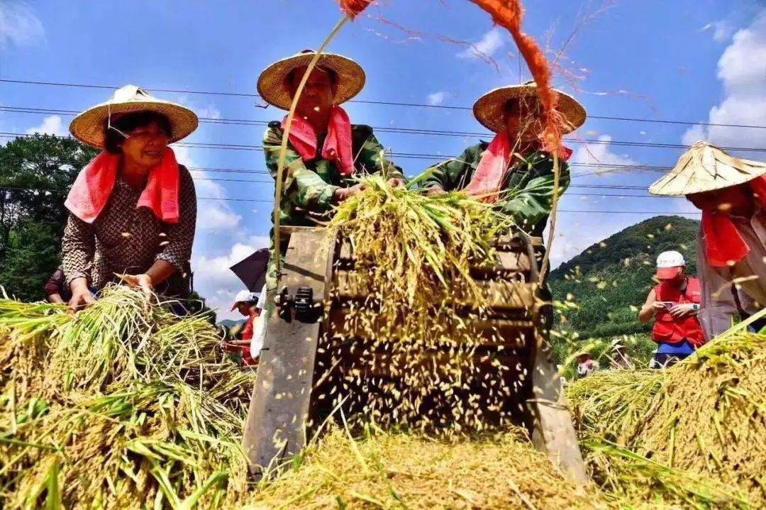 陕西省庆祝2020年"中国农民丰收节"