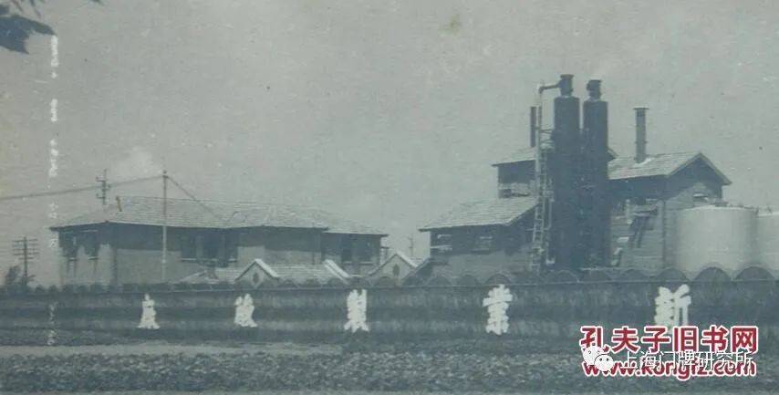 公共汽车|车影行踪|98路公共汽车微历史