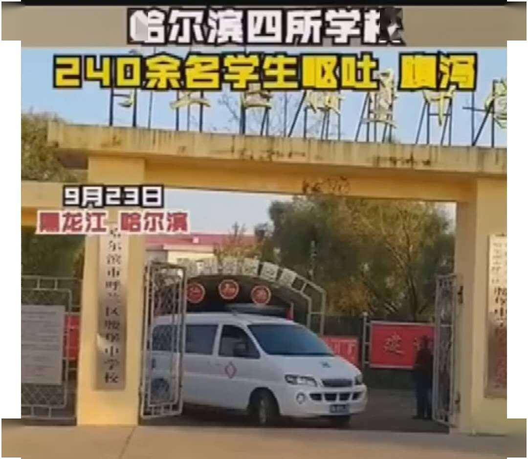 哈尔滨4所学校240余名学生呕吐、腹泻,午餐留样已送检,当地多部门展开调查