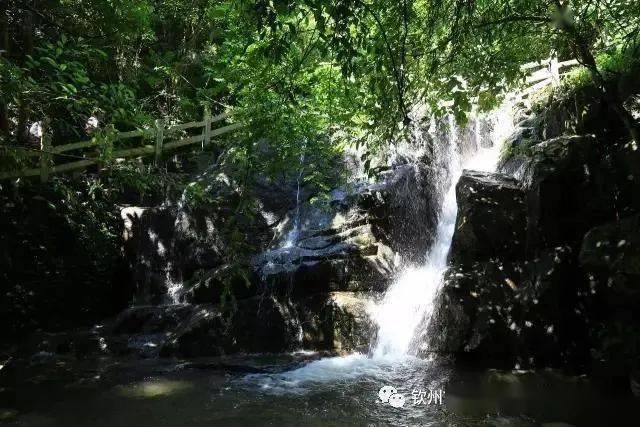 十一旅游攻略|在浦北必打卡的八大景点,安排!