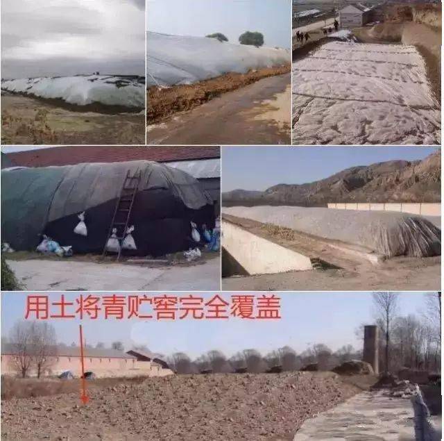 青贮封窖轮胎的标准使用方法