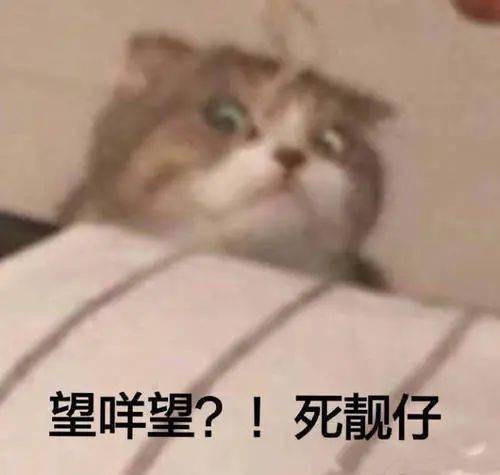 f441c4aff74245e3a4de6d8cda192ddc.jpeg
