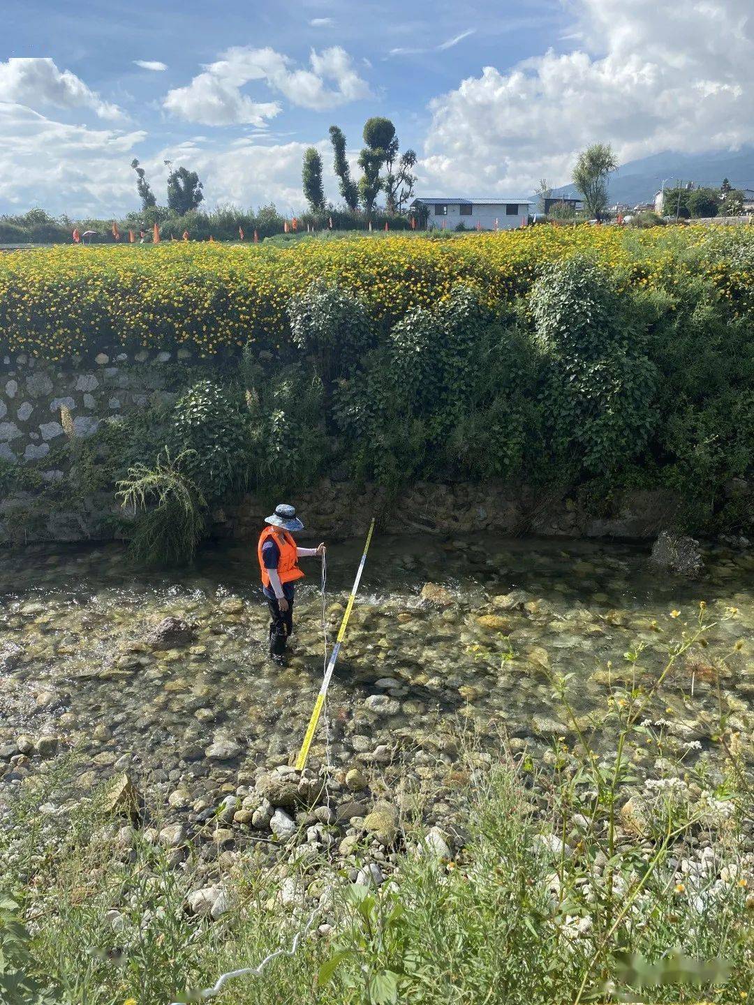 大理分局开展洱海苍山溪流生态补水调查分析工作