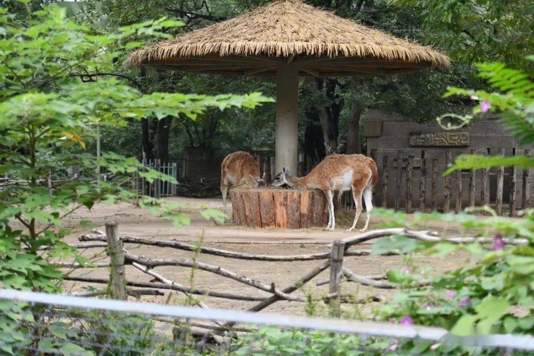 如再犯,市属公园都不能进