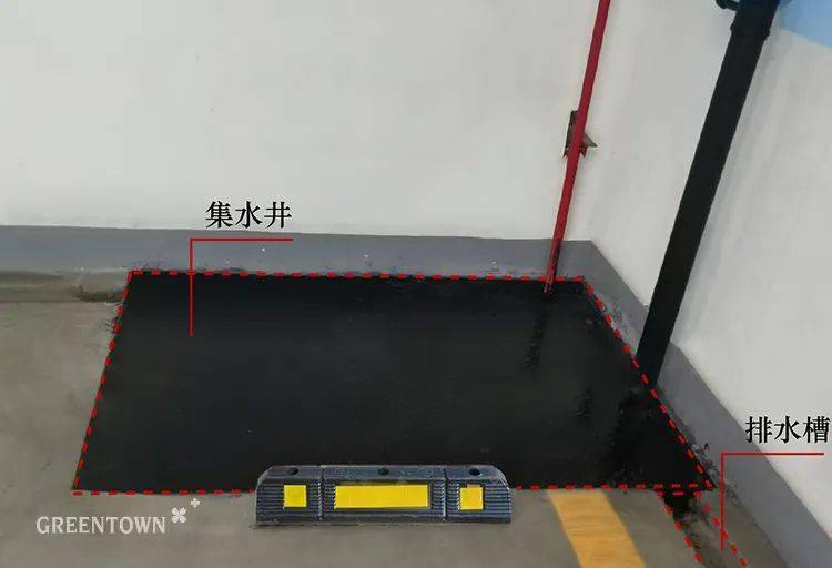 一行心往笼子里走猜成语_心在笼子里的图片(2)