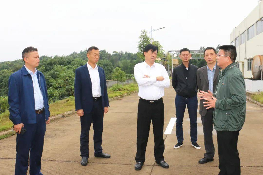 王小中到岳阳县调研生物医药产业发展情况