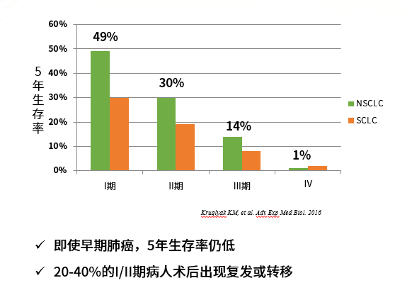 石碁镇gdp2020_细数石碁镇一年之 最 ,你知道几个 再见2020(3)