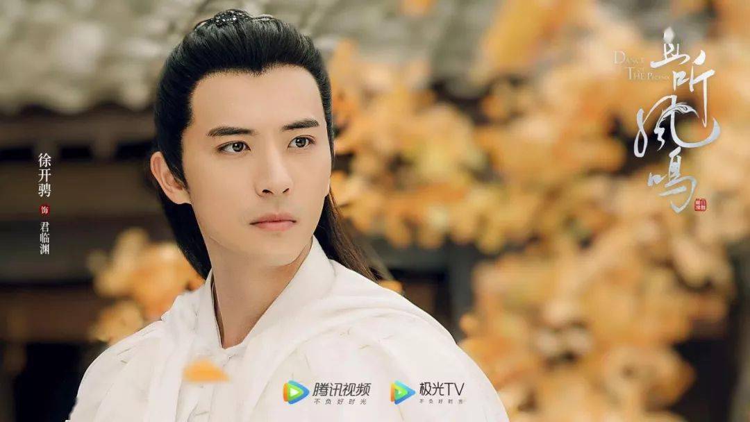 任豪|“用脸杀人”的他，这次古装却一般？