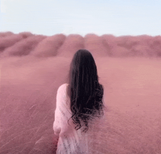 灵宝罗门婚纱|我们的婚纱照已被粉色攻陷!薰衣草庄园粉黛乱子草盛开!