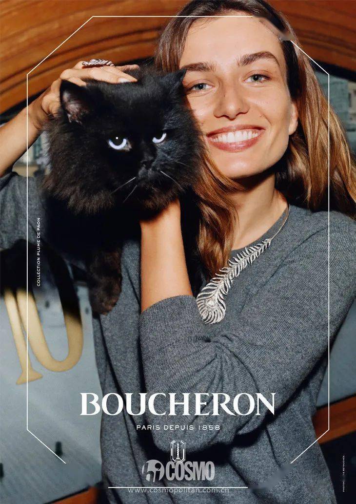 猫咪|戳进来 | 让周冬雨倾情献声的猫咪，原来如此高贵！