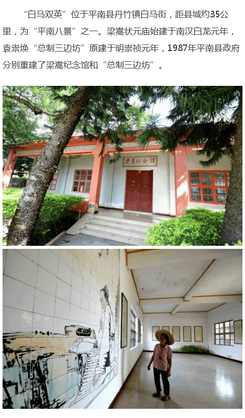 平南的"白马双英"你了解多少?原来背后还有着这样的故事.