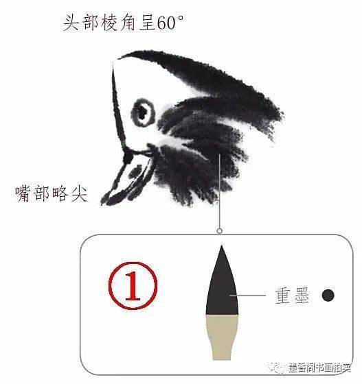 国画教程：一学就会画荷花鸳鸯图_搜狐网