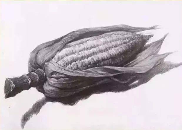 超强干货丨素描基础单体之青椒
