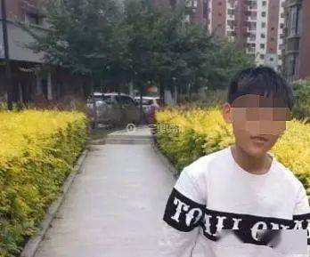13岁男孩网购宠物蛇被咬进ICU 买卖国家保护动物竹叶青蛇违法
