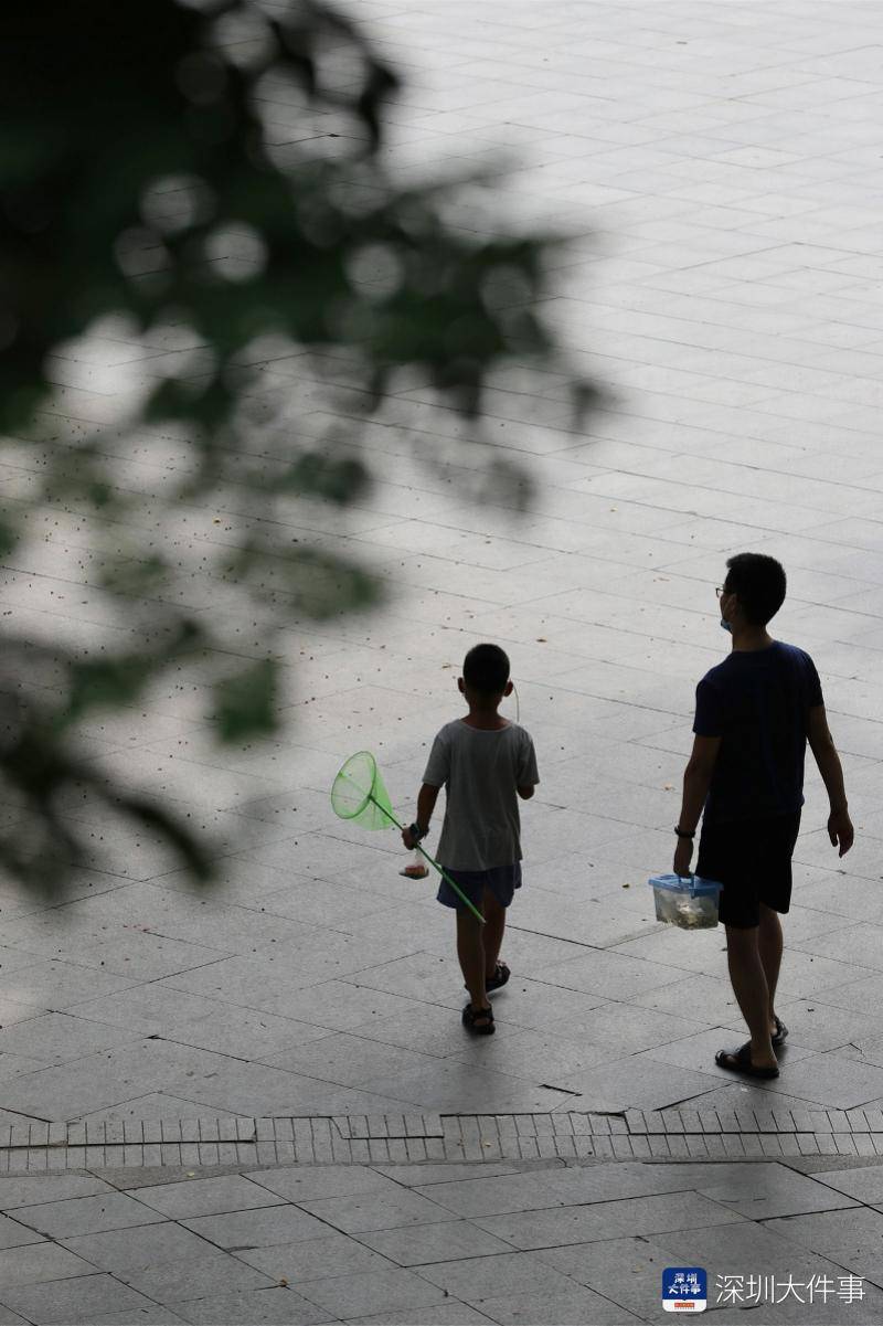 阵雨|深圳周日局部仍有暴雨，国庆假期前期仍有较明显降雨