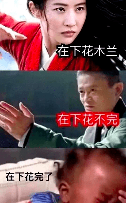 在下花木兰