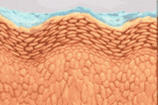 黑眼圈|马应龙新款眼霜买1送5，拼网速抢购中！早晚用一次，轻松缓解黑眼圈、浮肿眼袋、细纹皱纹，40岁阿姨也能抹出少女眼！