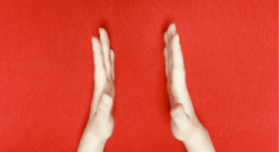 bf926ebb76584f349783bb6bf5e30010.png