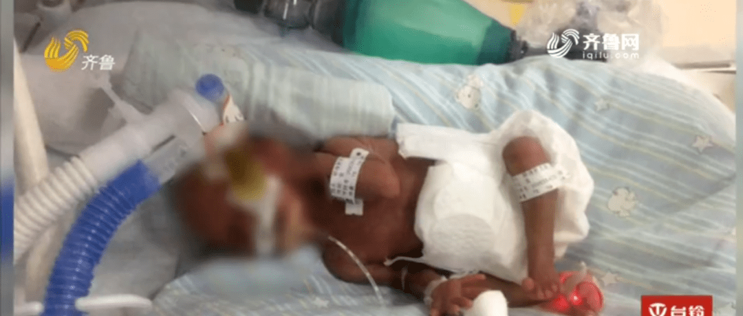 言蹊|天使妈妈月刊 | 2020年8月刊