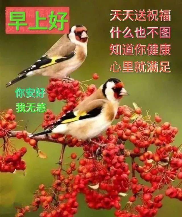 6张最新秋日风景早安问候图片带字精选 漂亮的秋天枫叶早上好图片带字