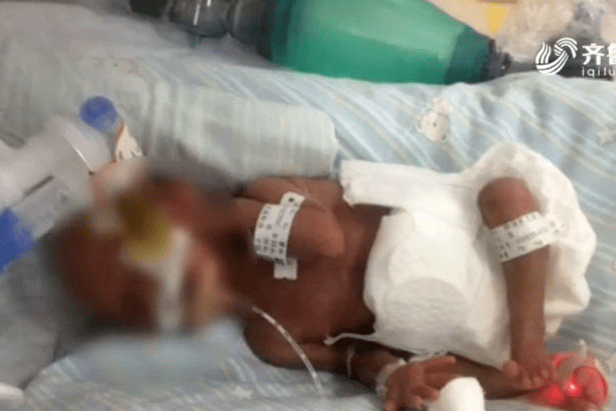 言蹊|天使妈妈月刊 | 2020年8月刊