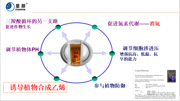 804a9f9705784c819328552c05732407.png