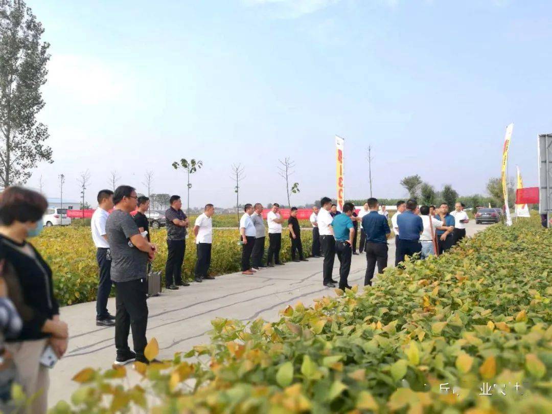 虞城县组织开展全县大豆新品种及绿色高产高效示范现场观摩活动