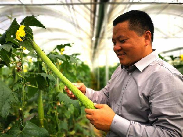 市场|铜仁万山大坪乡：销售专班跑市场 特色产业稳销路