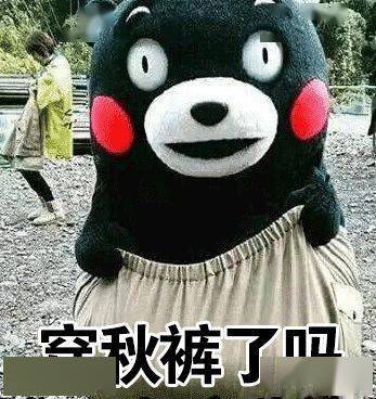 羊绒|还在抗拒秋衣秋裤？这件又薄又暖的羊绒内衣，让你纵享柔软！