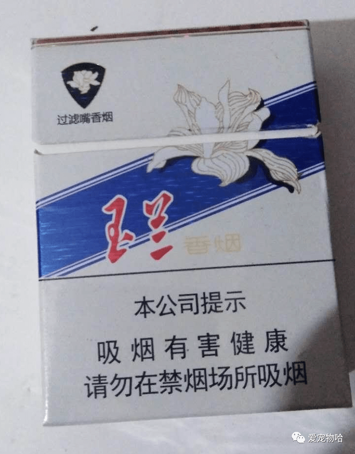 3153e996267f43ae82843f572883d906.png