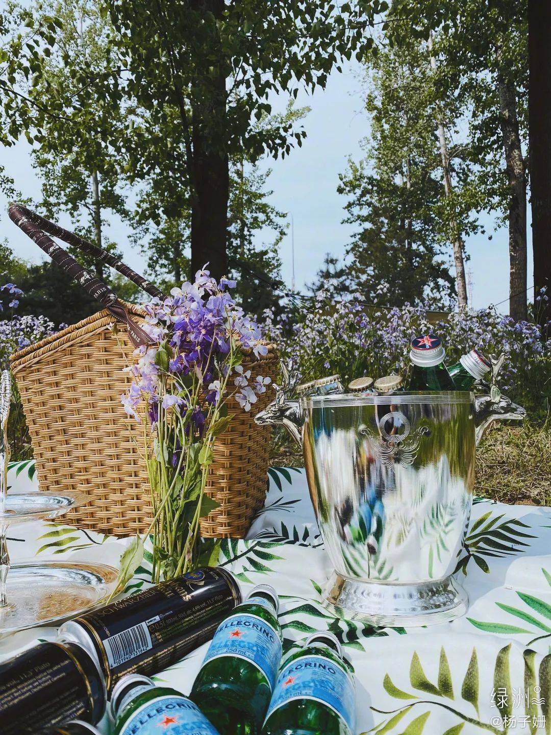 食物|那些明星同款野餐照片，原来是这样拍出来的