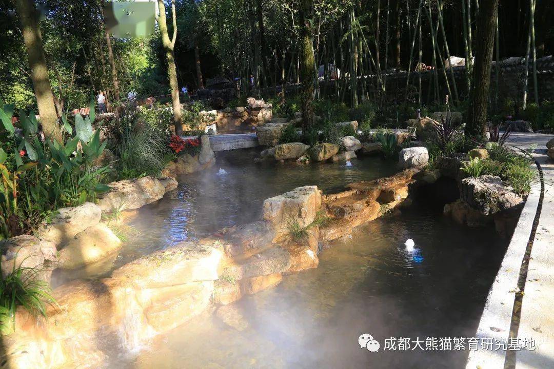 你你谷最新人口_中国最新人口数据统计(3)